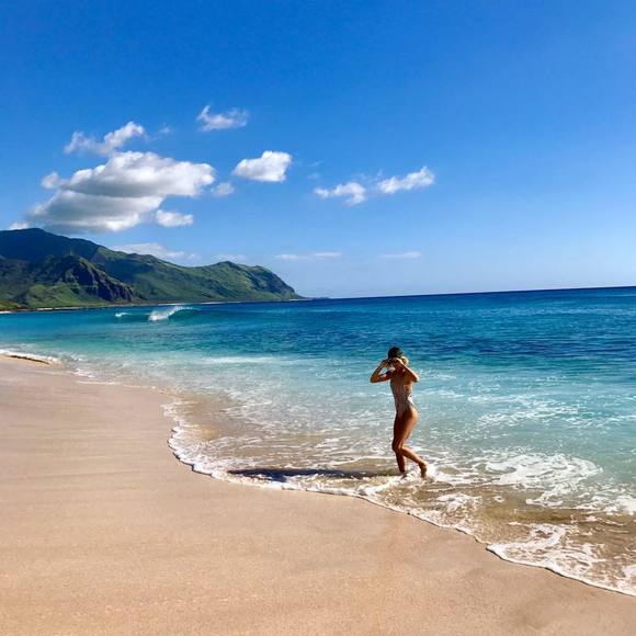 alohabribee